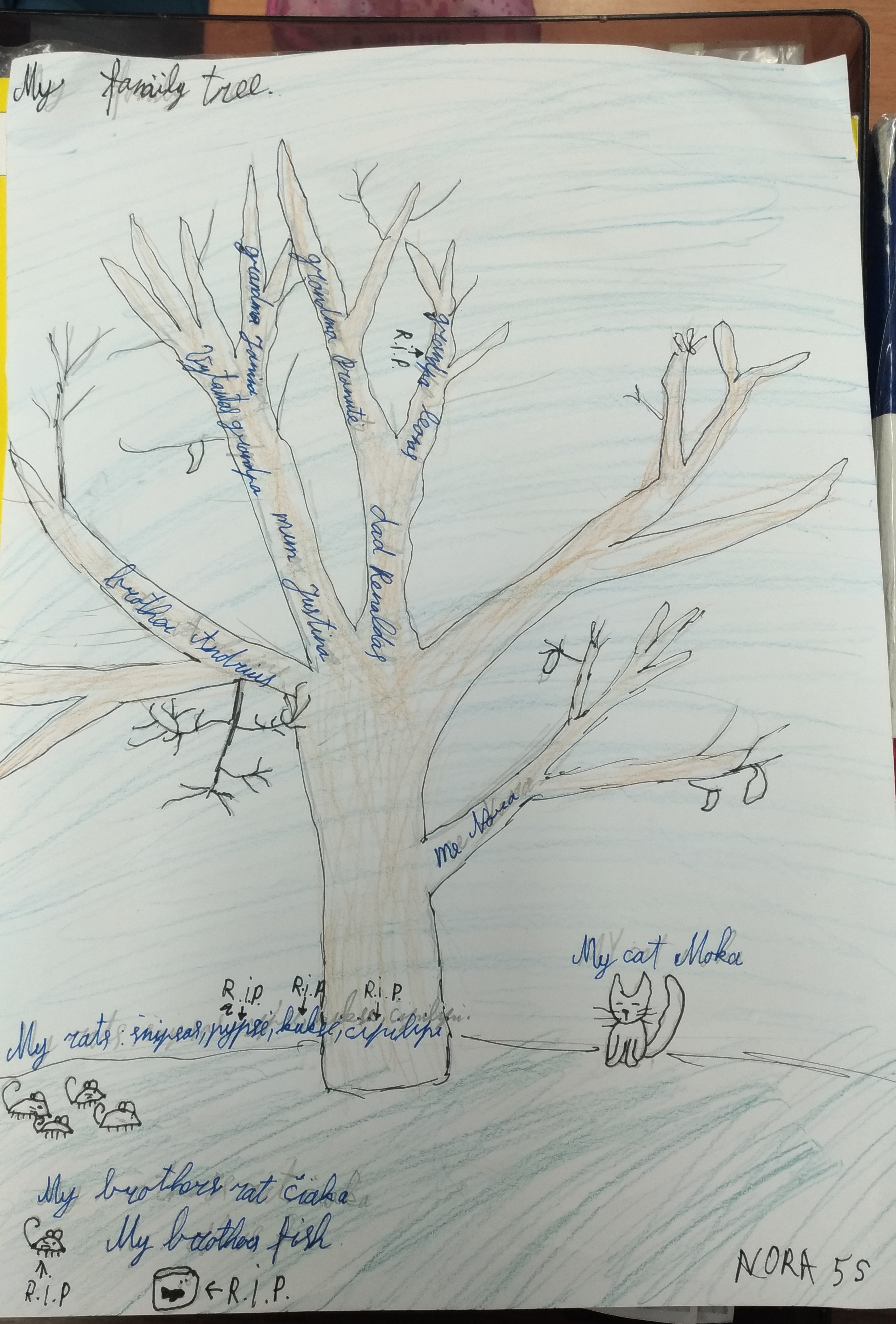 Family-Tree-Project-2020-5th-graders-23