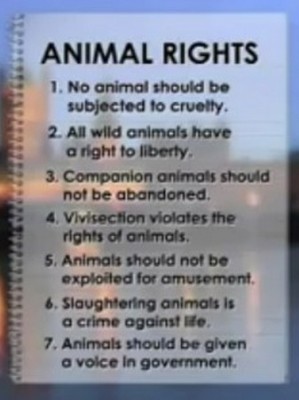 Animal-Rights